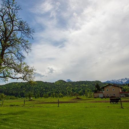 Gaestehaus Dobernig Sankt Niklas an der Drau 外观 照片